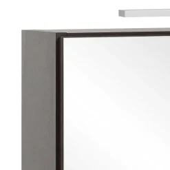 Spiegelschränke*Pharao24 Spiegelschrank Pegruan