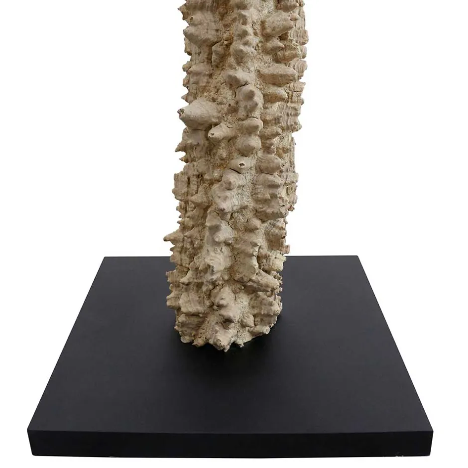 Lampen Und Leuchten*Pharao24 Stehlampe mit Treibholz Natalina