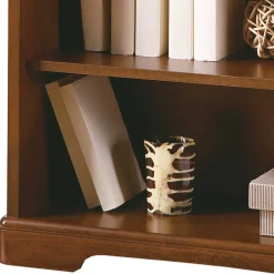 Wohnzimmerregale|Massivholzregale*Pharao24 Stilmöbel Bücherregal Sucrela