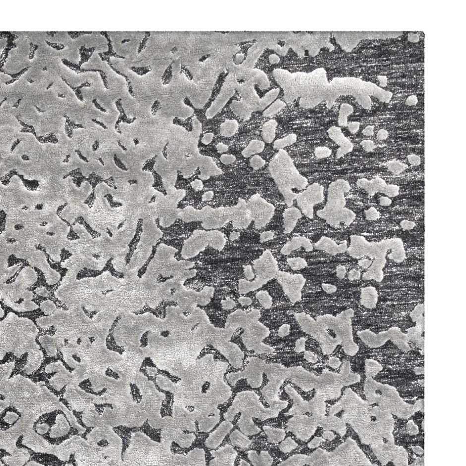 Teppiche*Pharao24 Teppich Ewarton