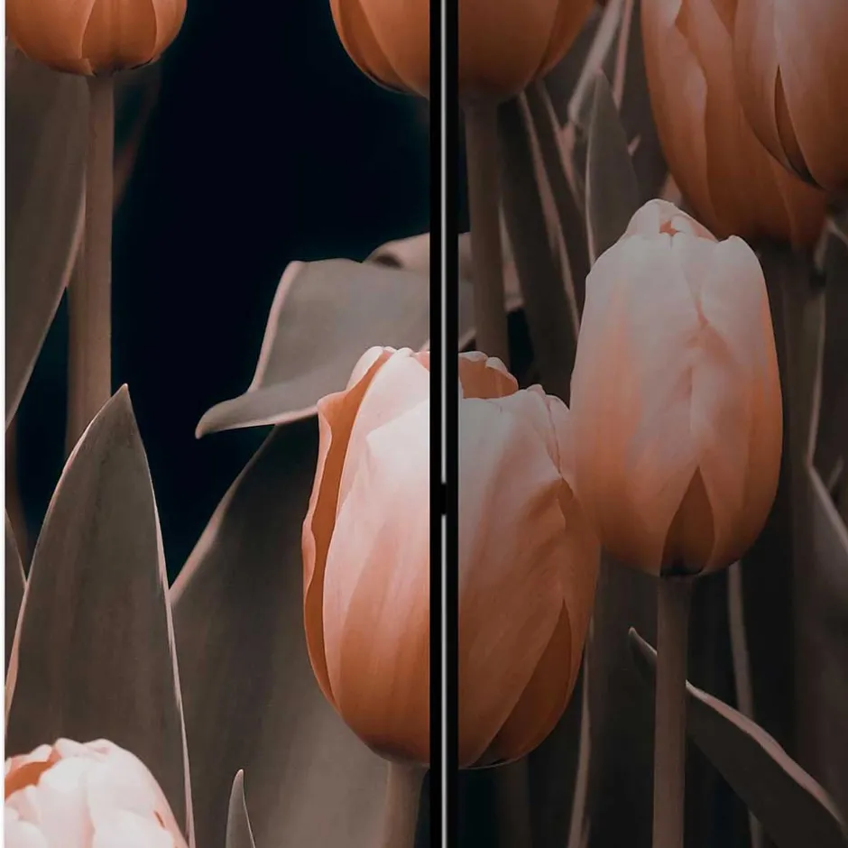 Paravents*Pharao24 Trennwand Paravent Speranza