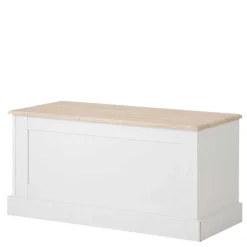 Couchtische|Truhen*Pharao24 Truhe Tadari