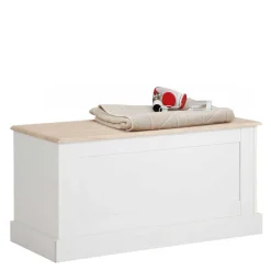 Couchtische|Truhen*Pharao24 Truhe Tadari