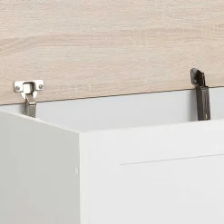 Couchtische|Truhen*Pharao24 Truhe Tadari