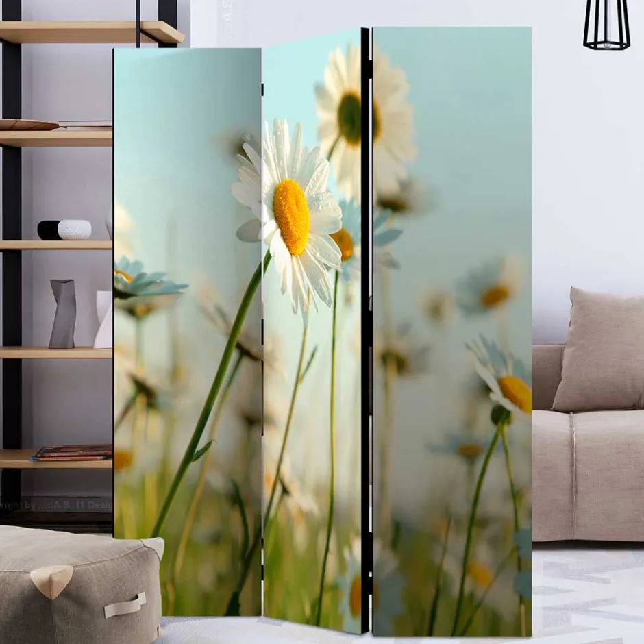 Pharao24 Umkleidewand Bergen> Paravents