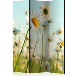 Pharao24 Umkleidewand Bergen><noscript><img width=