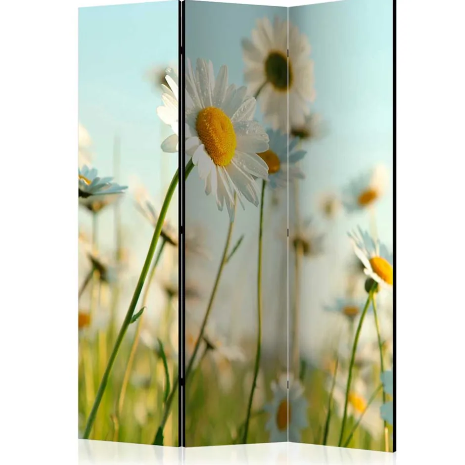 Pharao24 Umkleidewand Bergen> Paravents