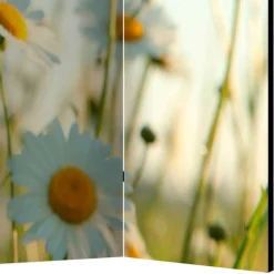 Pharao24 Umkleidewand Bergen><noscript><img width=