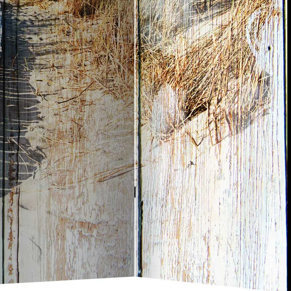 Pharao24 Vintage Paravent Modicca> Paravents