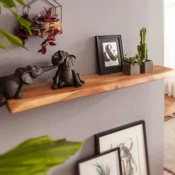 Pharao24 Wandboard Pegron> Massivholzregale|Wandregale