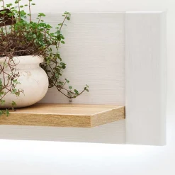 Pharao24 Wandboard Wonders><noscript><img width=