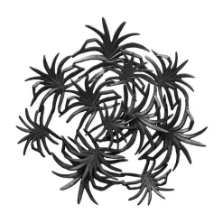 Pharao24 Wanddeko Regiao> Wandbilder