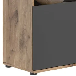 Vitrinenschrank|Wohnzimmervitrinen*Pharao24 Wohnzimmer Highboard Plestna