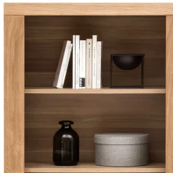 Massivholzmöbel|Büchervitrinen*Pharao24 Wohnzimmer Regal Vroscian