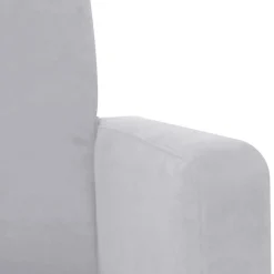 Polstermöbel|Wohnzimmer Sessel*Pharao24 Wohnzimmer Sessel Silbergrau Jey