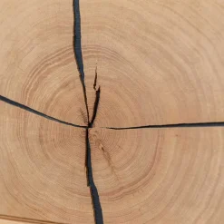 Stauraumvitrinen*Pharao24 Wohnzimmerschrank Lakosion