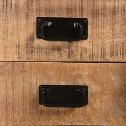 Massivholzmöbel|Vitrinenschrank*Pharao24 Wohnzimmerschrank Scalinar