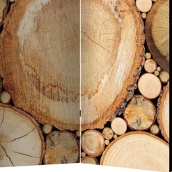 Paravents|Raumteiler*Pharao24 Zimmer Sichtschutz Cemzaja